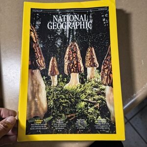 National Geographic April 2024 - Morel Mushrooms with Yellow Border.